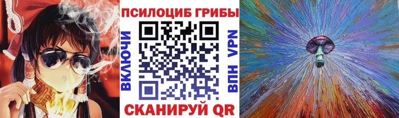 Псилоцибиновые грибы Psilocybe  Купить где  Моршанск 